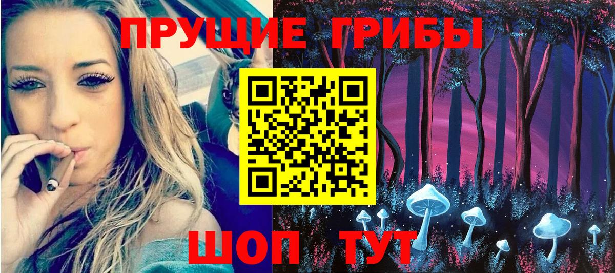 Псилоцибиновые грибы Psilocybine cubensis Лениногорск