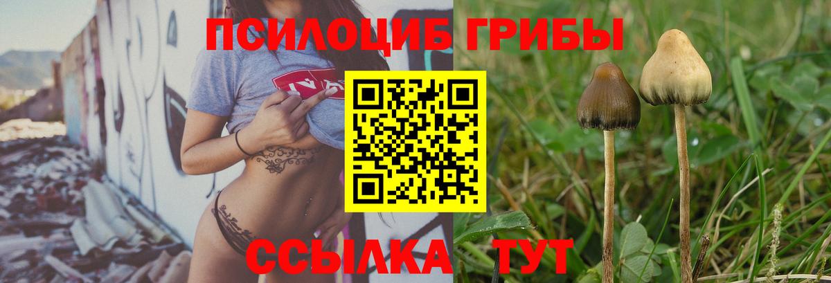 Псилоцибиновые грибы прущие грибы  Галлюциногенные грибы Psilocybine cubensis  купить   Вход с VPN  Лениногорск 